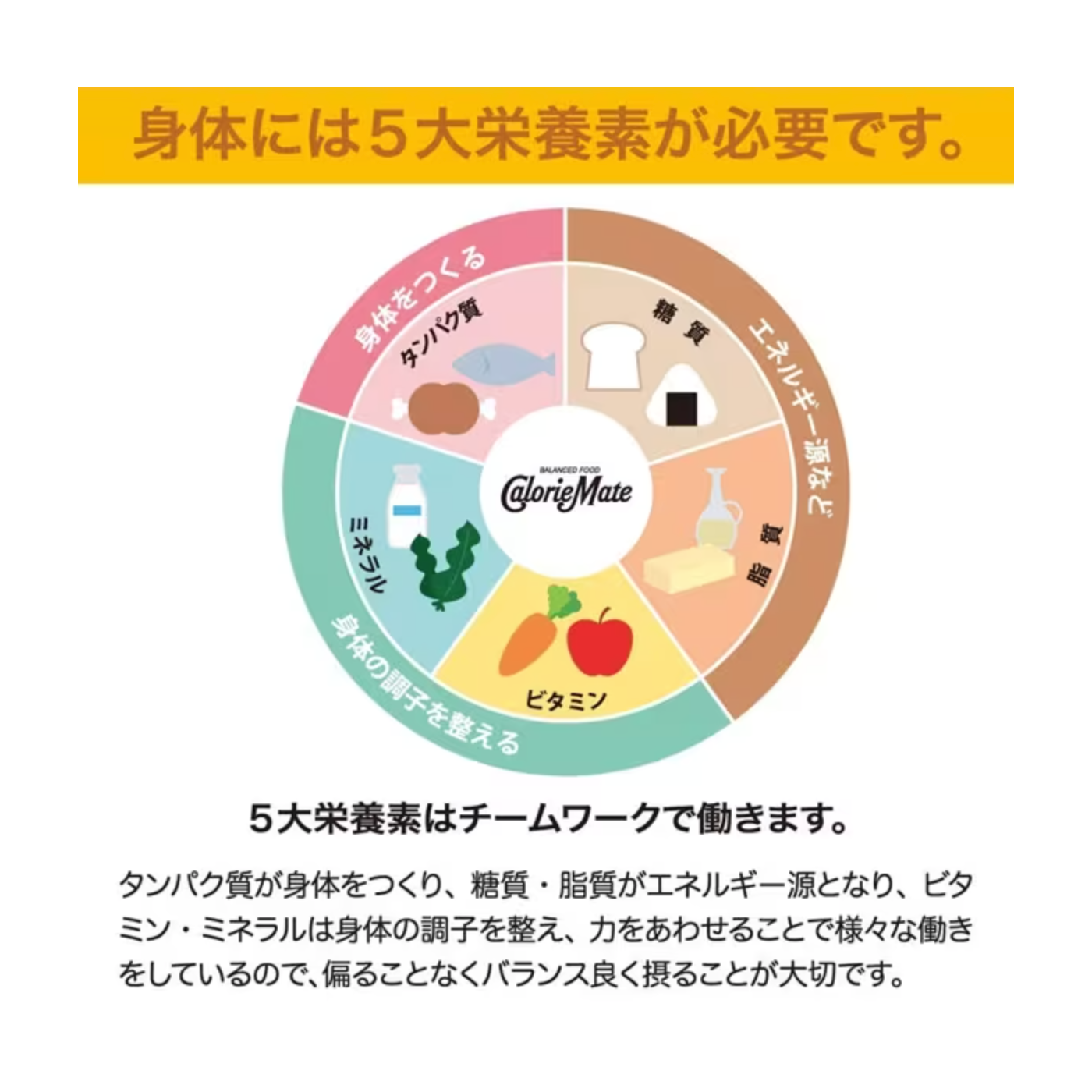 Calorie Mate Block Chocolate flavor 4 pieces