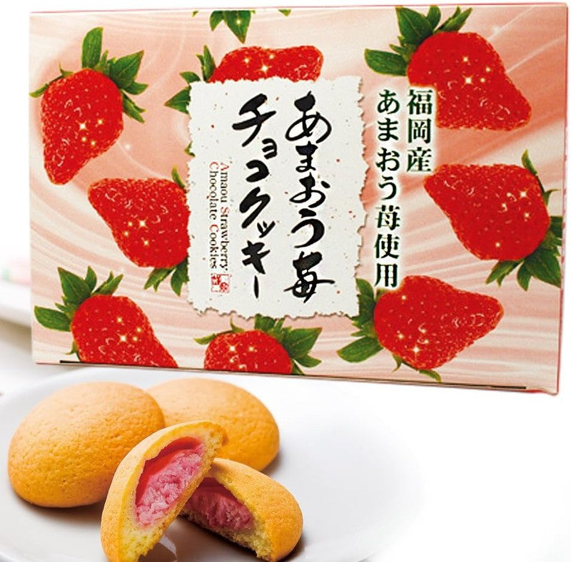 Hogaya Fukuoka Souvenir Amaou Strawberry Chocolate Cookies (20