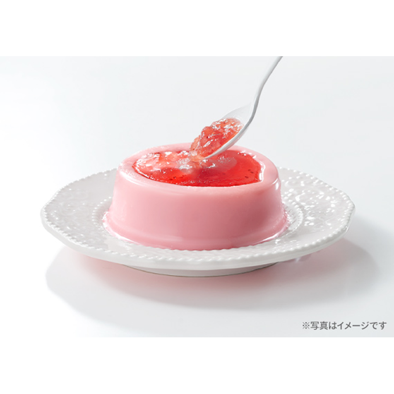 Yamaya Amaou Strawberry Pudding