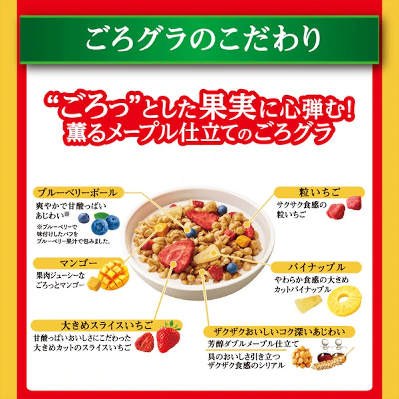 Nissin Cisco Mixed Fruit Granola 280g