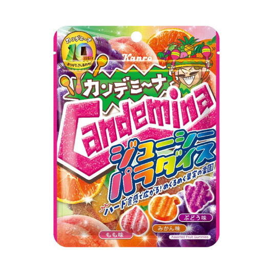 Kanro Candemy Nagumi Juicy Paradise 72g x 1 bag