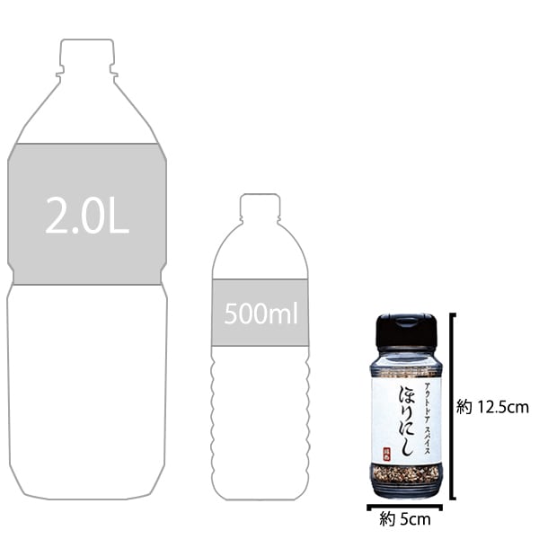 Horinishi 户外调味粉 100克