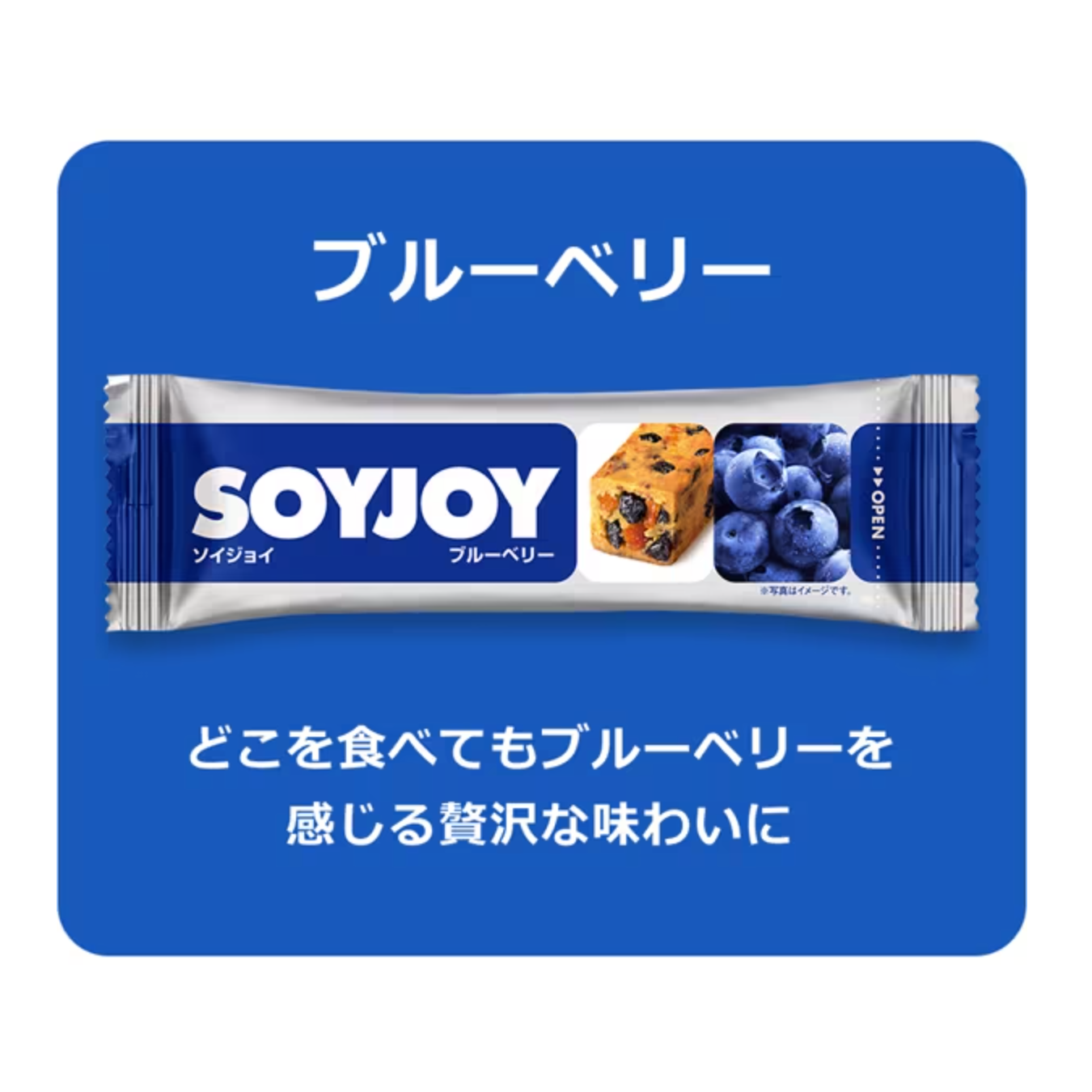 Soyjoy 蓝莓 30g