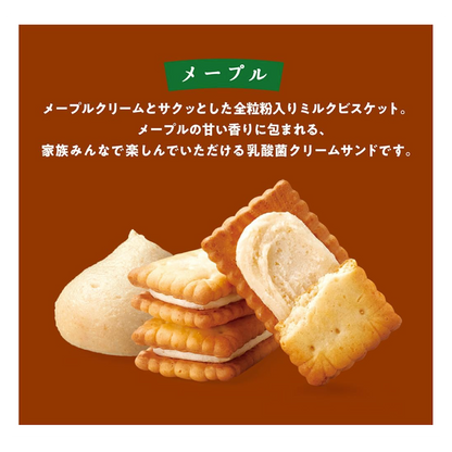 Bisco <Maple> 15 pieces