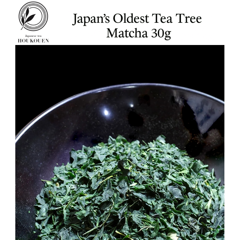 Japan's Oldest Tea Tree Matcha 30g - Stone Milled