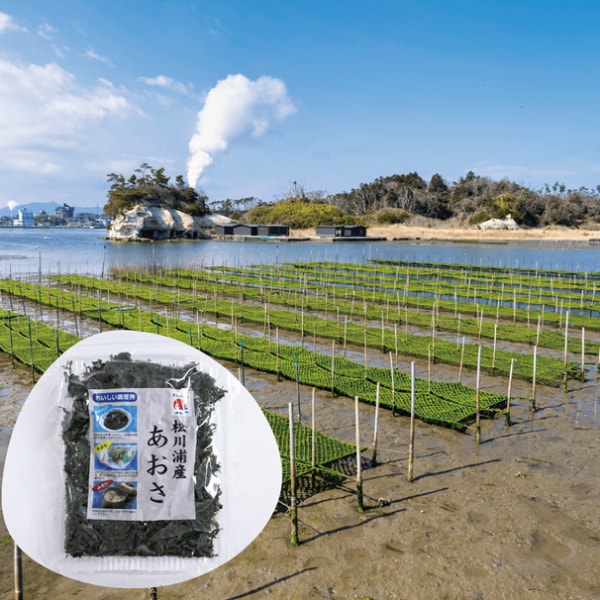 Sanei Nori Matsukawaura Aosa Seaweed, 20g