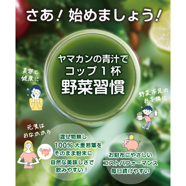 Yamamoto Kanpo Barley Grass Powder 3g x 44