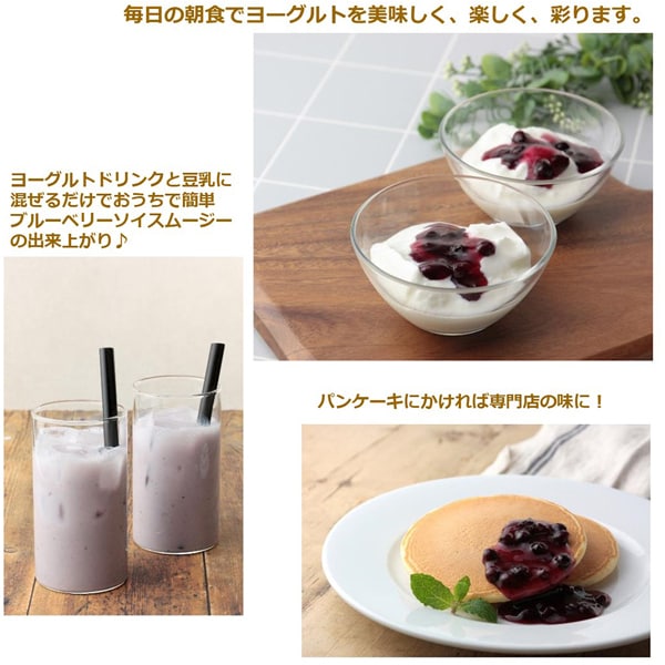 Nissei Blueberry Fruit Sauce 150g