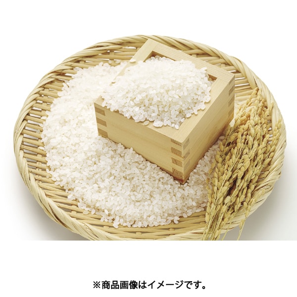 Boso Rice Bran Oil, 1350g Bottle