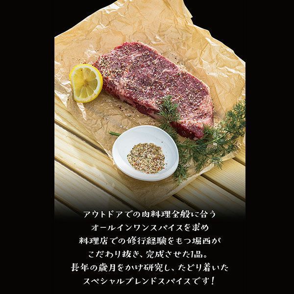 Horinishi 户外调味粉 100克