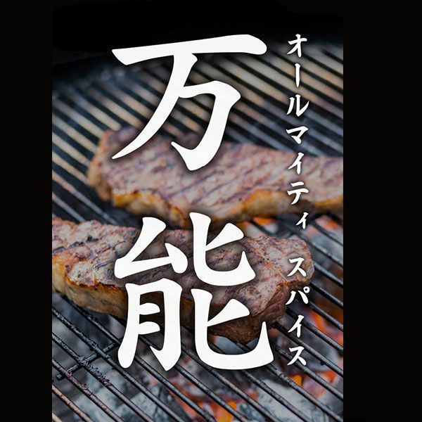 Horinishi 户外调味粉 100克