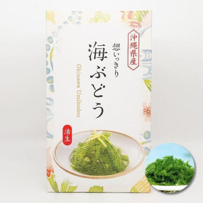 Hoikkiri Sea Grapes Katsusei with salt water 50g