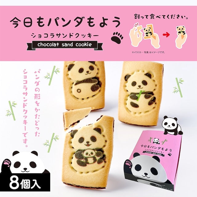 Today too panda momo chocolate sandwich cookies 8 pieces