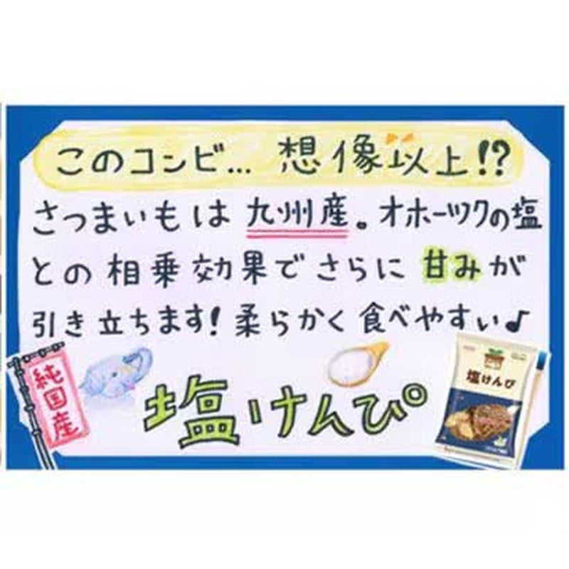 North Colors 纯日本盐 Kenpi 100g