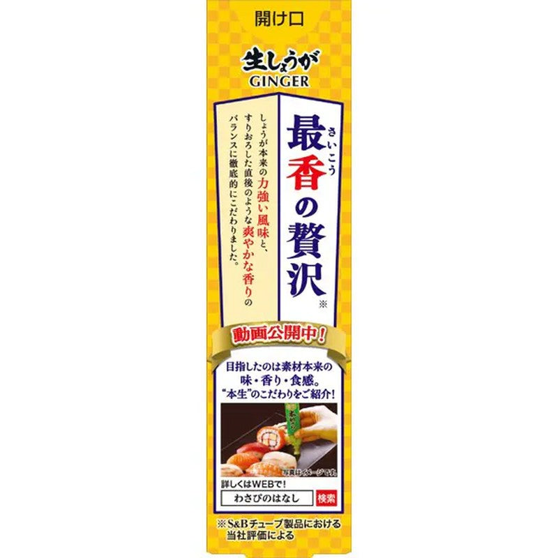 S&B Foods Honsei Fresh Ginger 40g [Spice Seasoning]