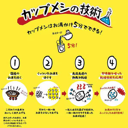 Nissin Foods Chicken Ramen Bukkomi Rice 77g