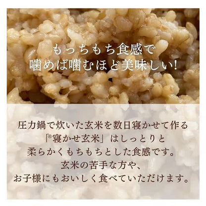 Optim Smart Rice Aged Brown Rice Pack 160g