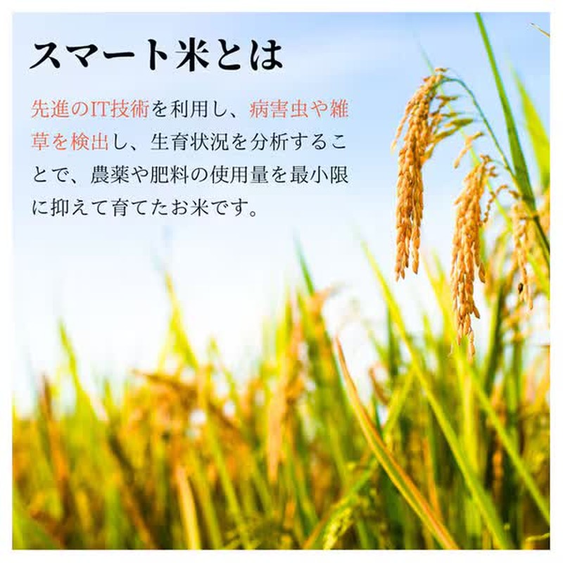 Optim Smart Rice 熟糙米包装 160g