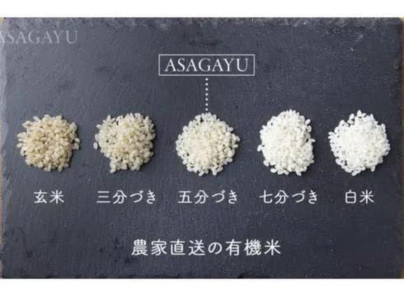 Asagayu soy meat porridge with soy milk and sesame flavour