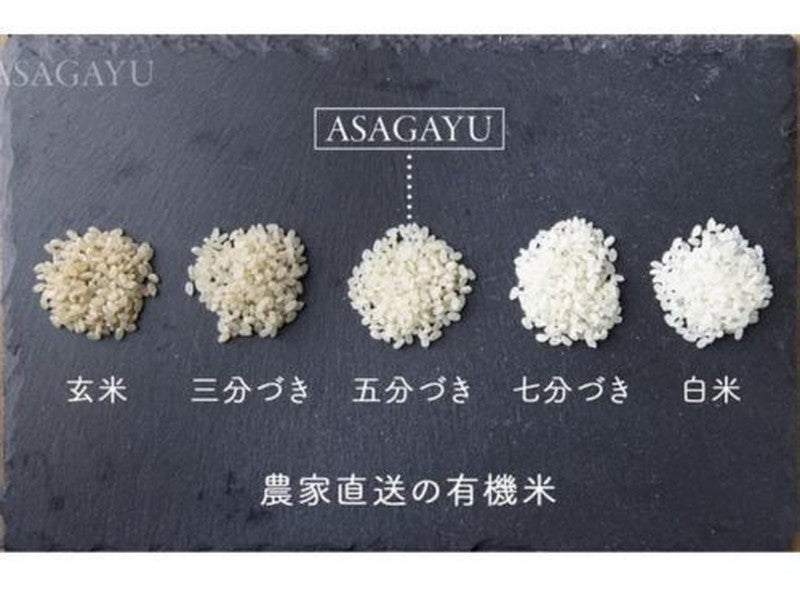 Asagayu Pineapple Nuts Porridge Almond Maple Flavor