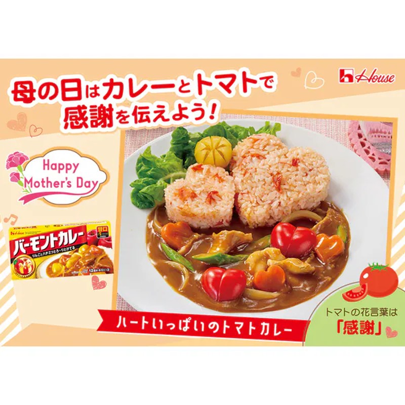 House Foods 佛蒙特咖喱 淡味 230g [咖喱酱]