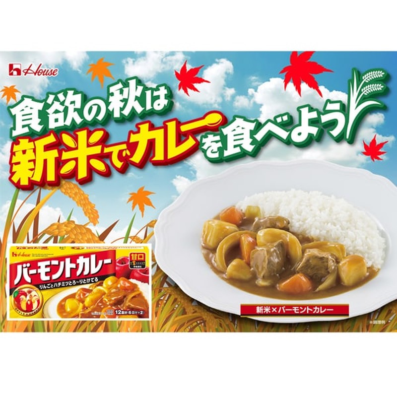 House Foods 佛蒙特咖喱 淡味 230g [咖喱酱]