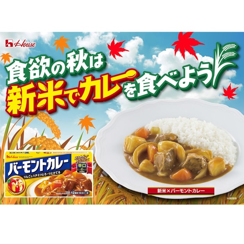 House Foods 佛蒙特咖喱 辣味 230g [咖喱酱]