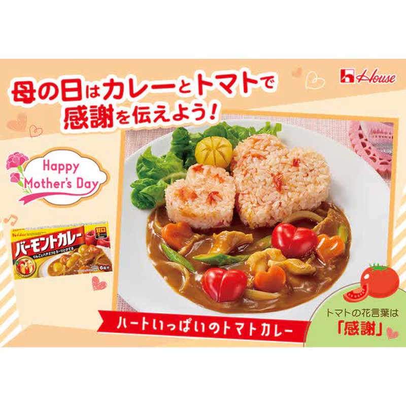 House Foods 佛蒙特咖喱 淡味 115g [咖喱酱]