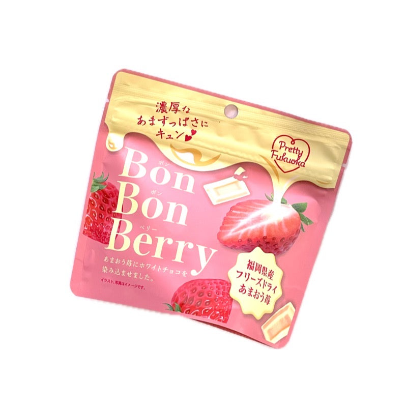 Pretty Fukuoka BonBon Berry 10 Bags Set