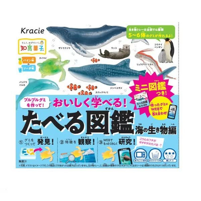 Kracie Foods Food Encyclopedia: Sea Creatures