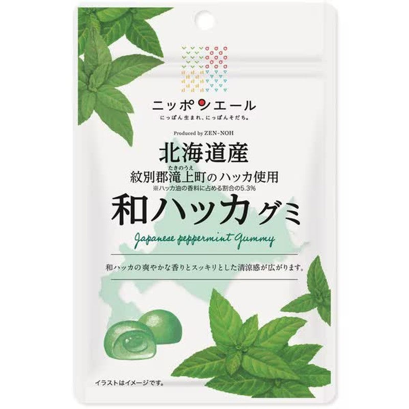JA Zennoh Nippon Ale Hokkaido Japanese Mint Gum, 40g