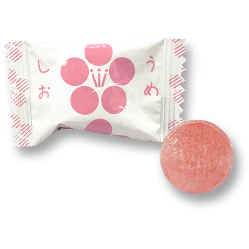 Eikodo Ume Plum Salt Candy Business Size 1kg