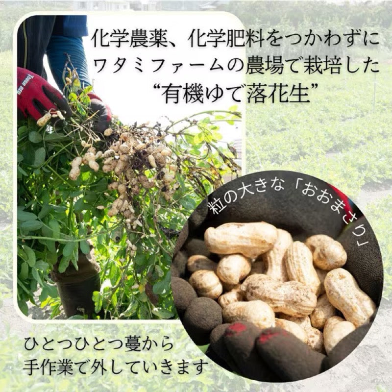 Watami Farm Organic In-Shell Boiled Peanuts 160g