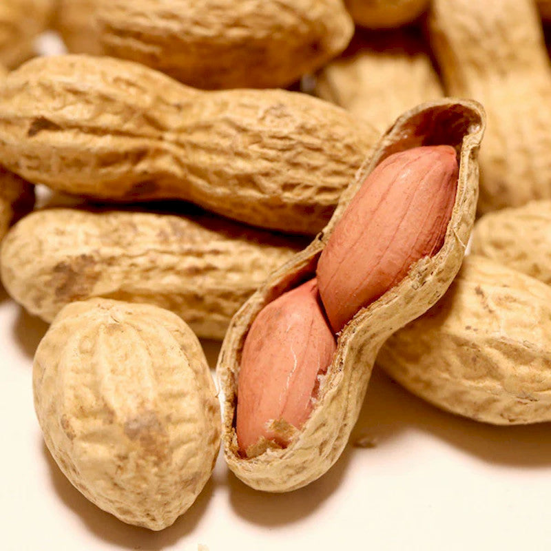 Anbai Farm Roasted Peanuts Small Pack 75g