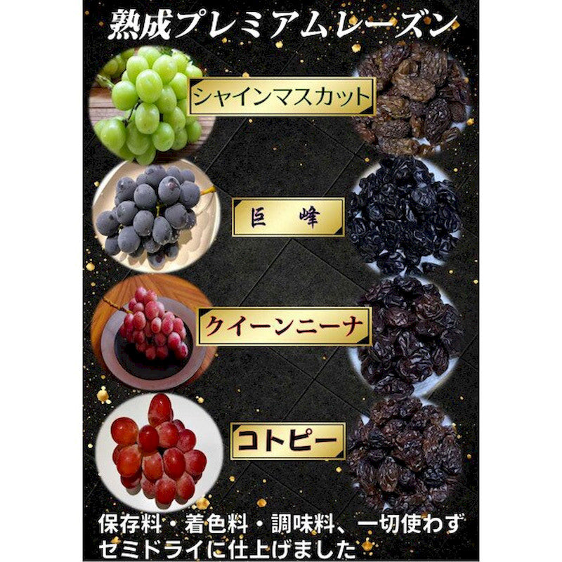 Satonoya Akita Semi-Dried Grape Assortment 25g