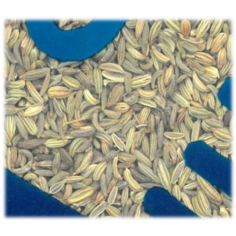 Vishwas Additive-Free Fennel Seeds 100g