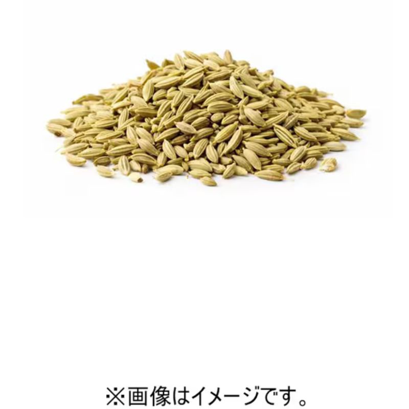 Vishwas Additive-Free Fennel Seeds 100g