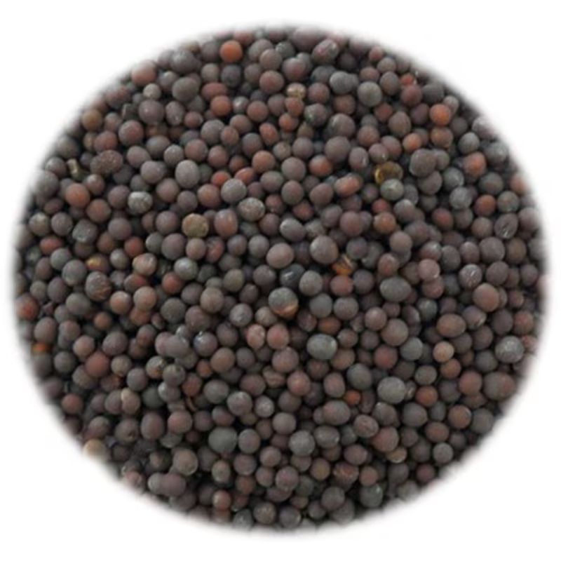 Vishwas Additive-Free Mustard Seeds 100g