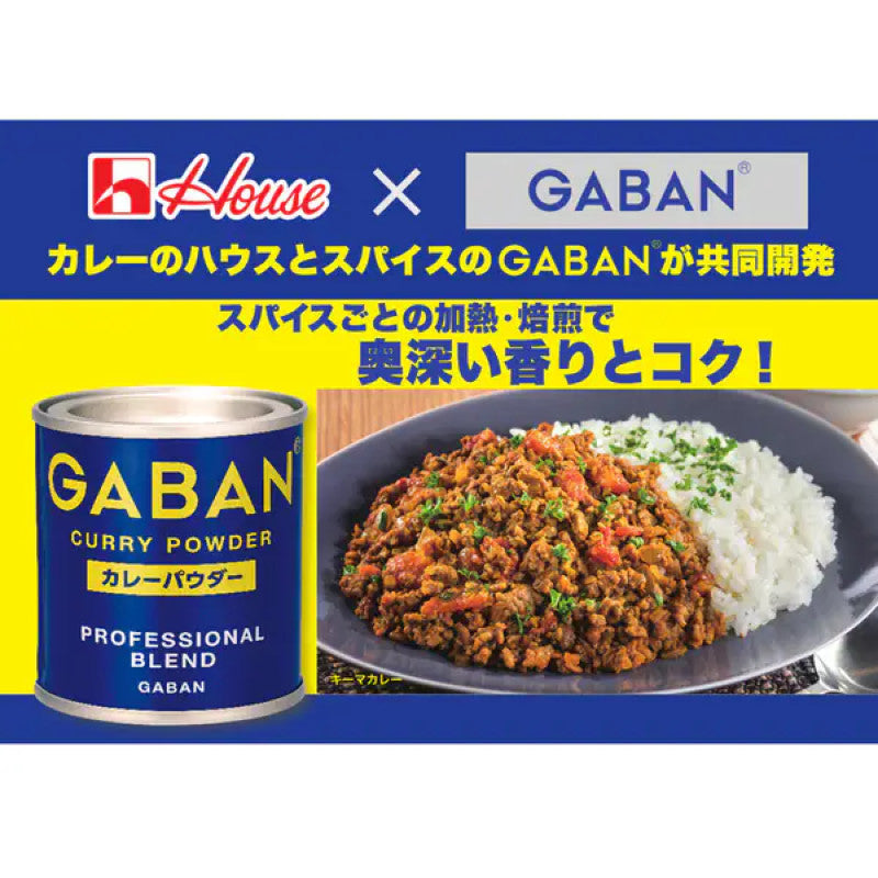 Gaban Curry Powder Can 35g