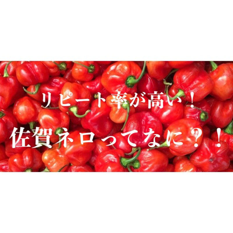 Saburo Saga Nero Habanero Hot Sauce 115g