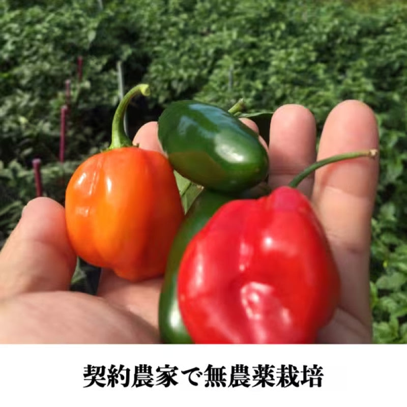 Saburo Saga Nero Habanero Hot Sauce 115g