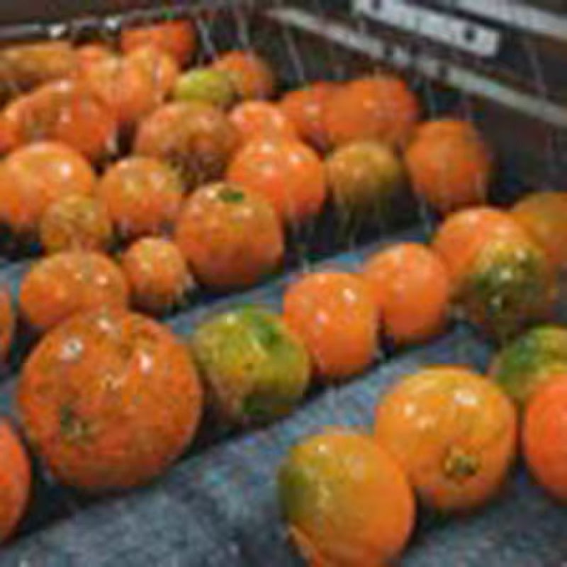 Awa Suzo Daidai Citrus Juice 300ml