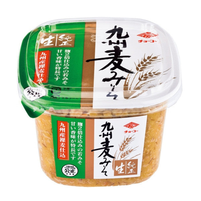 Choko Kyushu Barley Miso Paste 500g