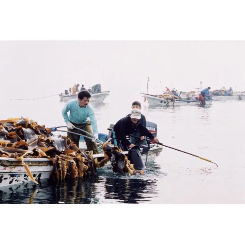 Baikun Jozo Yaki Ago Dashi 400ml