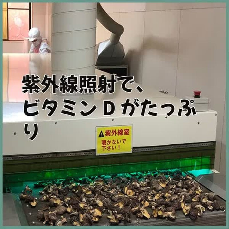 Sugimoto Shoten Kyushu-grown Authentic Shiitake Mushroom Powder 40g