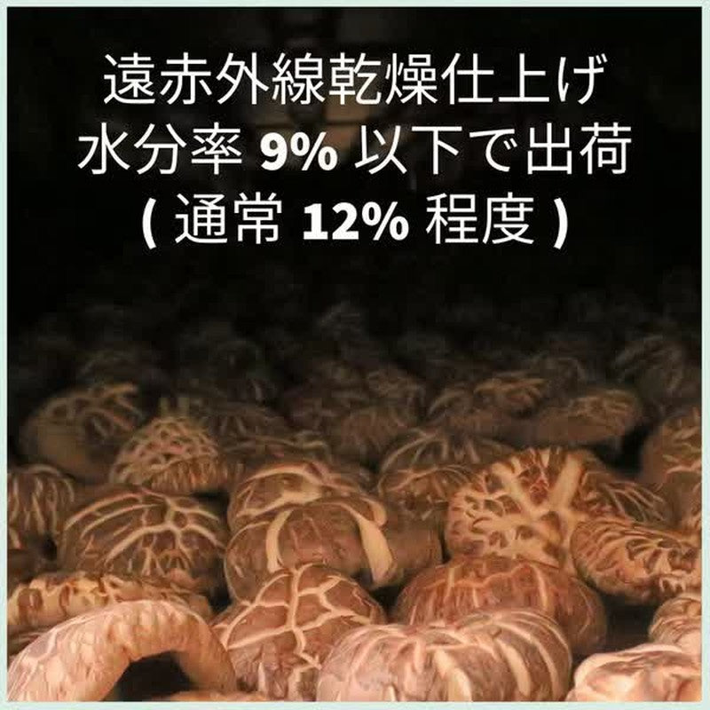 Sugimoto Shoten Kyushu-grown Authentic Shiitake Mushroom Powder 40g