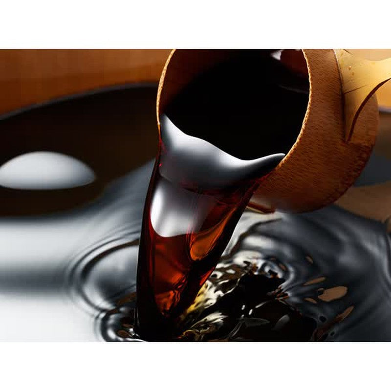 Takesan Freshly Squeezed Soy Sauce (Freshness-Preserving Bottle) 200ml [Soy Sauce]