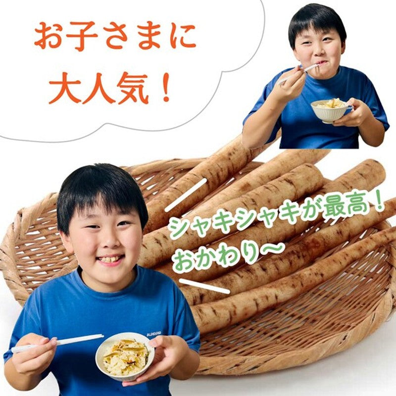 Fuji Foods Burdock Mixed Rice 128g
