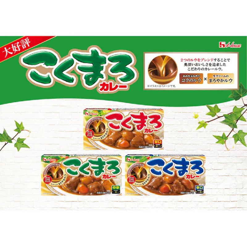 House Foods House 黑麻吕咖喱 微辣 140g [咖喱酱]