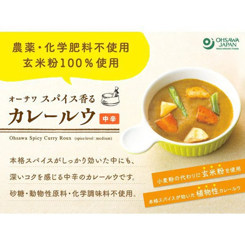 Osawa 日本大澤香料香咖哩醬（中辣）120g